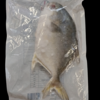 Golden pomfret/ :Tatka Brand :1KG: Leccia indopacifica congelato/Goldener bommel/Palometa dorada/Pomfrette dorée/Pomfre dourado