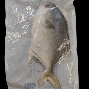 Golden pomfret/ :Tatka Brand :1KG: Leccia indopacifica congelato/Goldener bommel/Palometa dorada/Pomfrette dorée/Pomfre dourado
