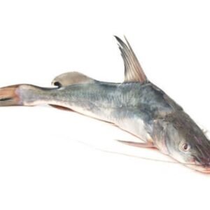 Ayer/Ayar Fisch 1kg+