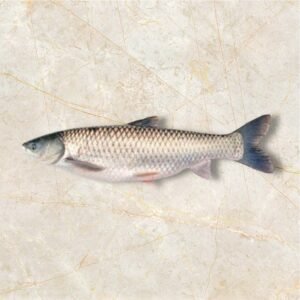 Mrigel Fisch 3kg+ Price per Kg