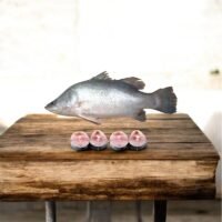 Koral Fisch 3kg+ Price per KG