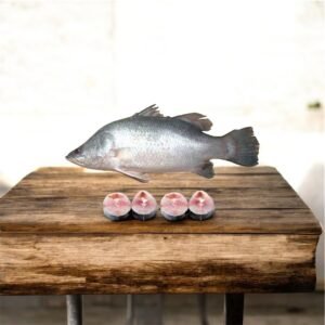 Koral Fisch 3kg+ Price per KG