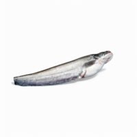 Boal 4kg+
