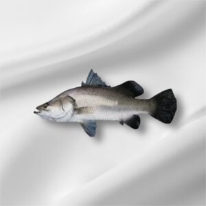 KORAL(UNIDEX) : 2KG+:- 1Unit is 1Kg