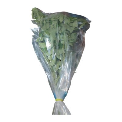 CURRY LEAVES 1 Stk